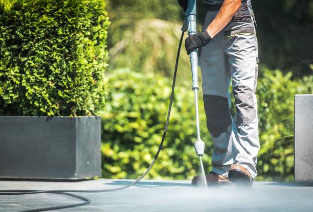 Best Roof Washing  in Meridianville, AL